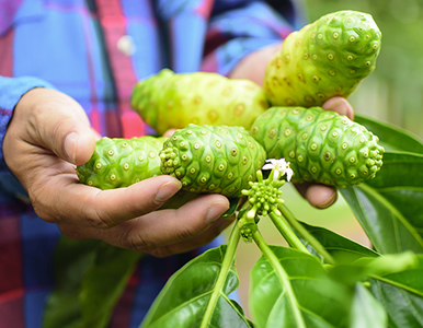 Hướng Dẫn Tạo Không Gian Bạn Không Bao Giờ Muốn Bỏ Lỡ